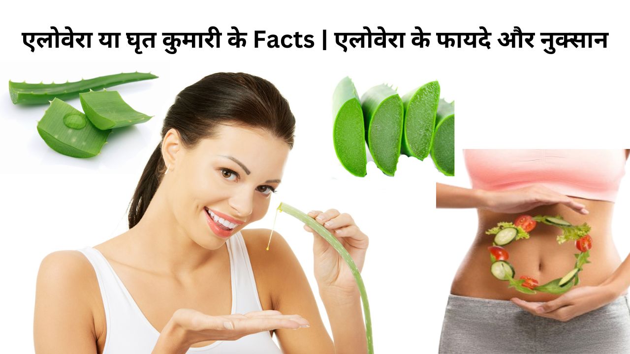 एलोवेरा या घृत कुमारी के Facts | एलोवेरा के फायदे और नुक्सान