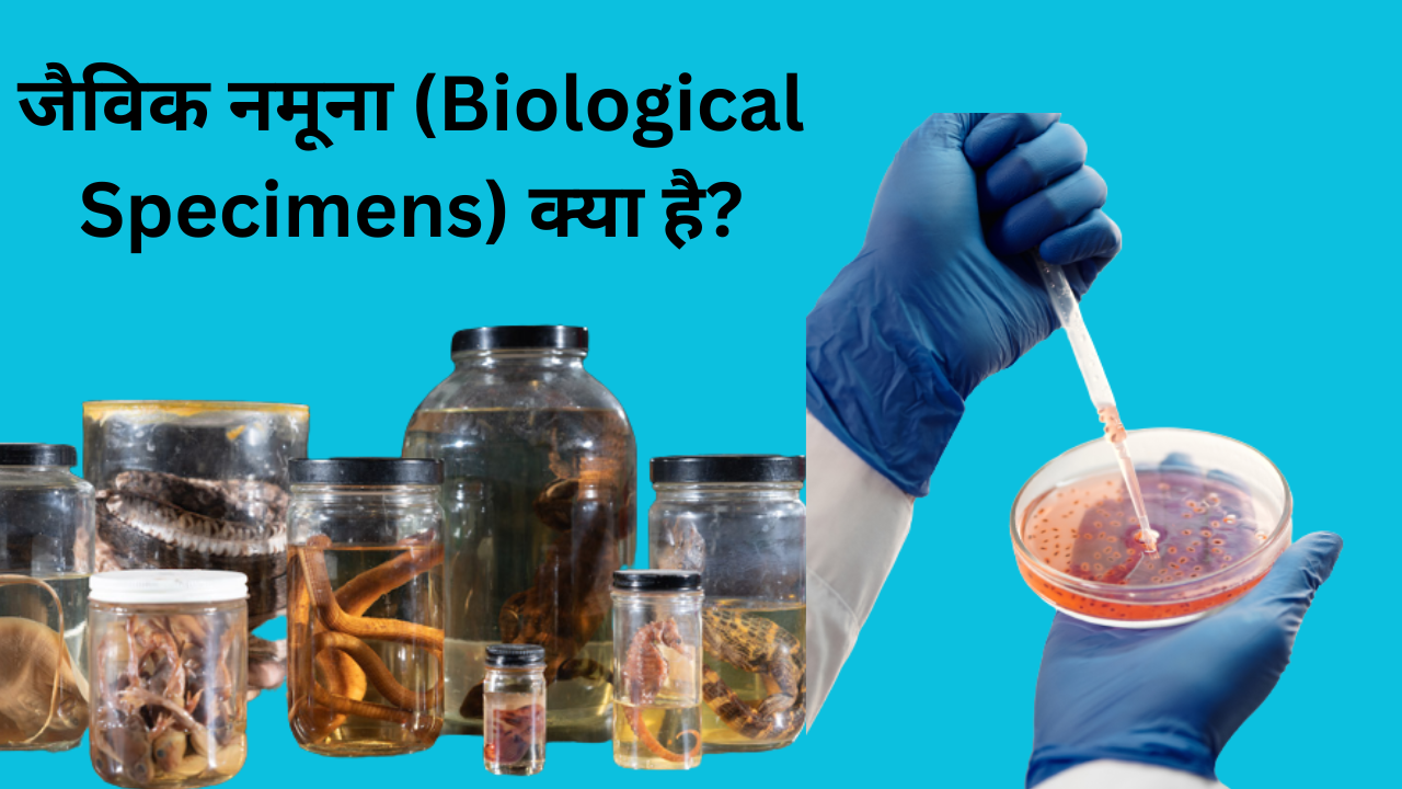 जैविक नमूना (Biological Specimens) क्या है?